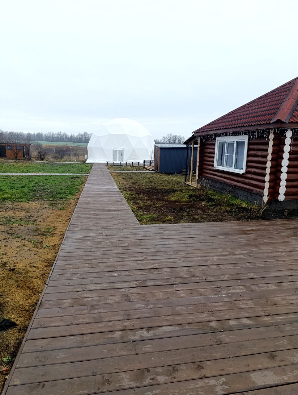 Как семья Турбиных превратила пчеловодство в дело жизни, бизнеса и туризма